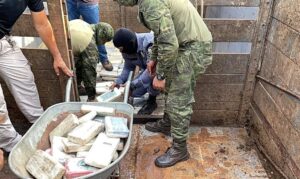 Read more about the article Polícia Federal espera apreender volume recorde de cocaína este ano