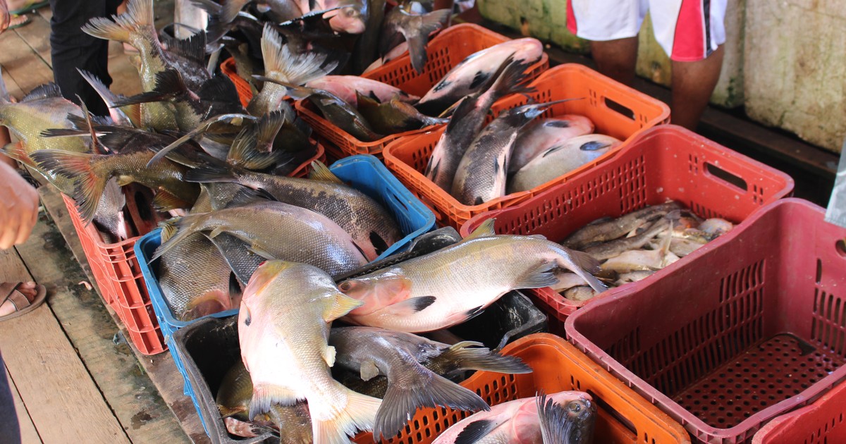 You are currently viewing Mata de São João: Prefeitura inicia entrega do peixe e kit Semana Santa na próxima quarta (29)