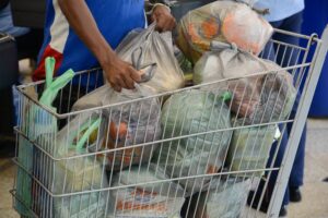 Read more about the article Começa a fiscalização da lei que proíbe comércio de distribuir sacolas plásticas