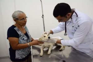 Read more about the article Prefeitura de Salvador abre processo seletivo para contratação de médicos veterinários para atuarem na Diretoria de Proteção Animal